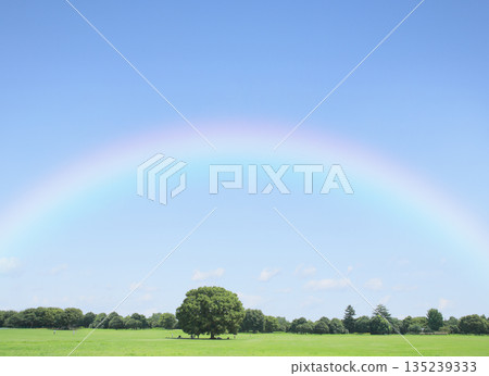 藍天草原上空的彩虹－象徵希望、未來和正面的景象 135239333