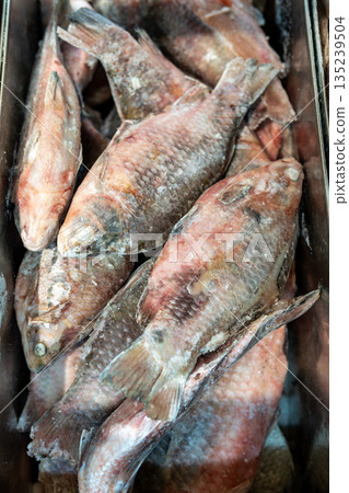 Frozen Whole Fish in Ice Crate for Fresh Seafood Display and Market Inventory Image Stock Frozen Whole Fish in Ice Crate for Fresh Seafood Display and Market Inventory Image Stock 135239504