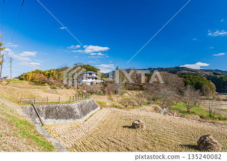 奈良縣飛鳥村的冬季鄉村景色 奈良縣飛鳥村的冬季鄉村景色 135240082