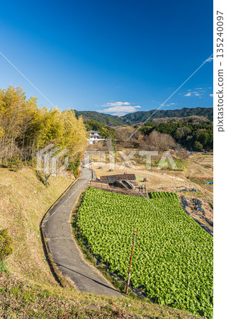 Winter rural scenery of Asuka Village, Nara Prefecture 135240097