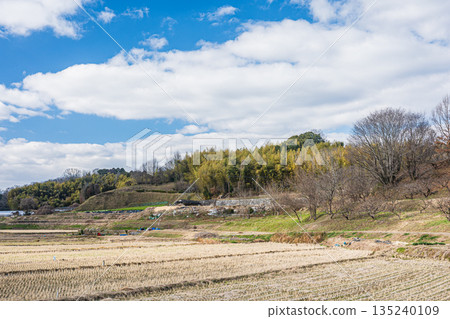 奈良縣飛鳥村的冬季鄉村景色 135240109