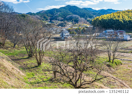 奈良縣飛鳥村的冬季鄉村景色 奈良縣飛鳥村的冬季鄉村景色 135240112