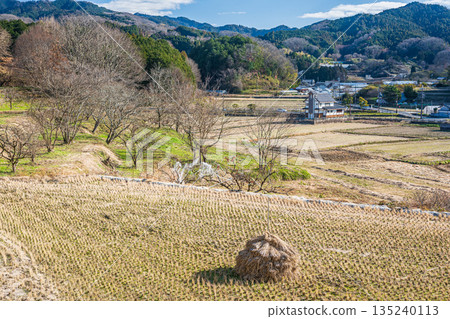 奈良縣飛鳥村的冬季鄉村景色 奈良縣飛鳥村的冬季鄉村景色 135240113