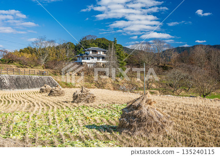 奈良縣飛鳥村的冬季鄉村景色 奈良縣飛鳥村的冬季鄉村景色 135240115