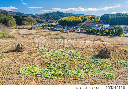 Winter rural scenery of Asuka Village, Nara Prefecture 135240118