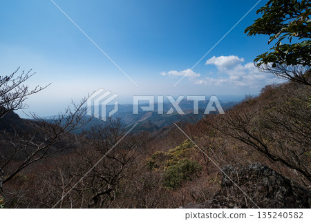天城山，登山，靜岡縣 135240582