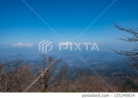 Mount Amagi, mountain climbing, Shizuoka Prefecture Mount Amagi, mountain climbing, Shizuoka Prefecture 135240614