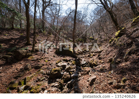 Mount Amagi, mountain climbing, Shizuoka Prefecture 135240626