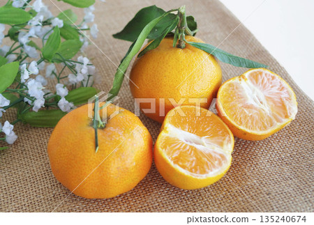 義大利的克萊門蒂娜柑橘，葉子，白色花朵，柑橘，柑橘，葉子，白色花朵 135240674