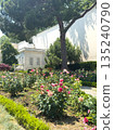 Vibrant rose garden with lush greenery and elegant architecture in background 135240790
