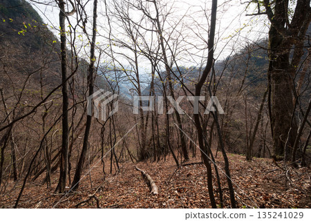 攀登埼玉縣兩神山 攀登埼玉縣兩神山 135241029
