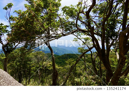 禦在所山地公園：透過樹木遠眺伊勢灣。三重縣三重郡駒野町 135241174