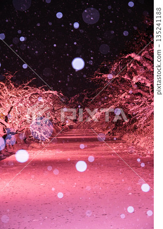 弘前城冬季櫻花（粉紅色） 135241188