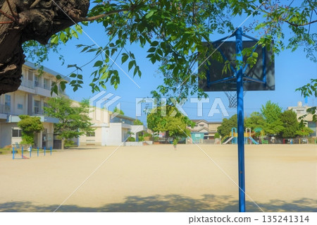 Behind the basketball goal in the schoolyard and green leaves Behind the basketball goal in the schoolyard and green leaves 135241314