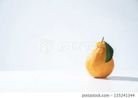 Decorphone Decorphone 135241344