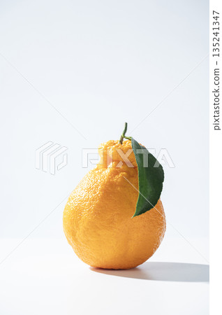 Decorphone 135241347