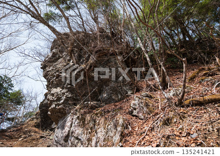 Climbing Mount Ryokami, Saitama Prefecture 135241421
