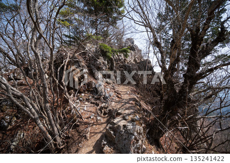 攀登埼玉縣兩神山 攀登埼玉縣兩神山 135241422