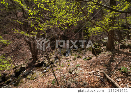 Climbing Mount Ryokami, Saitama Prefecture 135241451