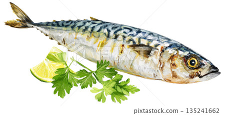 Mackerel Grill 135241662