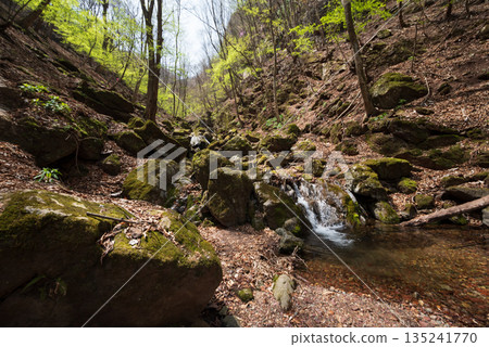 Climbing Mount Ryokami, Saitama Prefecture 135241770