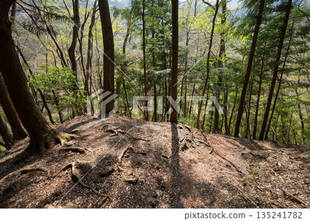 攀登埼玉縣兩神山 攀登埼玉縣兩神山 135241782