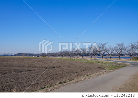 Landscape on the riverbank 135242218