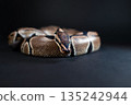 Royal python snake on a black background. 135242944