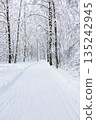 Ski trail in a snowy forest. Beautiful winter forest. 135242945