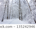 Ski trail in a snowy forest. Beautiful winter forest. 135242946