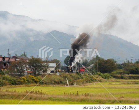 蒸汽機車的轟鳴聲在霧氣瀰漫的山巒間迴盪。 135243060