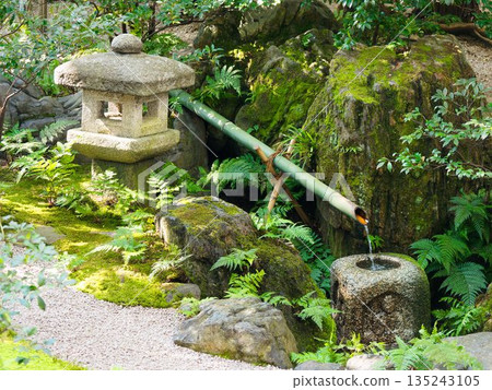 A tranquil garden where the sound of bamboo lion drums resonates A tranquil garden where the sound of bamboo lion drums resonates 135243105