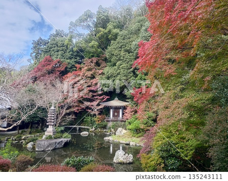 A tranquil garden decorated with autumn leaves and greenery A tranquil garden decorated with autumn leaves and greenery 135243111