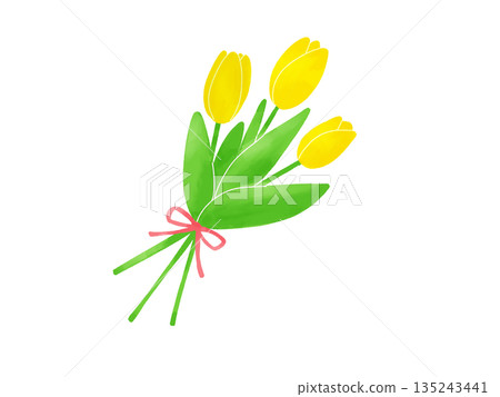 Yellow tulip bouquet Yellow tulip bouquet 135243441