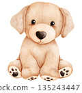 Cute Baby Golden Retriever Puppy Watercolor Illustration 135243447