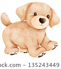 Cute Baby Golden Retriever Puppy Watercolor Illustration 135243449