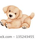 Cute Baby Golden Retriever Puppy Watercolor Illustration 135243455