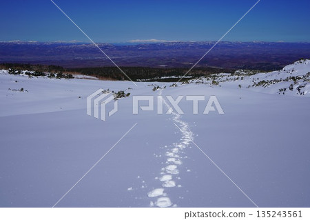 冬季從十勝岳到松關別岳的雪原上的腳印 冬季從十勝岳到松關別岳的雪原上的腳印 135243561
