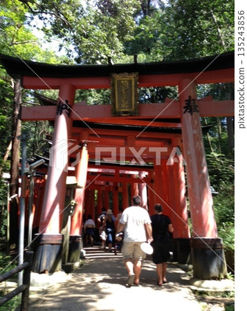 伏見Inari Taisha 伏見Inari Taisha 135243856