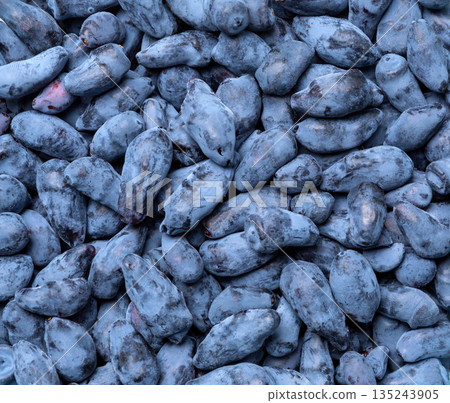 Honeysuckle . Blueberry. Fresh raw berries. Honeysuckle . Blueberry. Fresh raw berries. 135243905