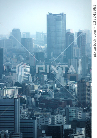 The view from the observation deck of Tokyo Metropolitan Government Building The view from the observation deck of Tokyo Metropolitan Government Building 135243963
