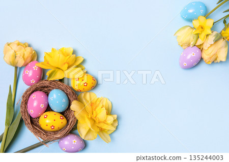 Easter colored painted eggs in bird nest with yellow daffodils and tulips on blue background with space for text and greetings. Easter and spring concept. Spring background 135244003