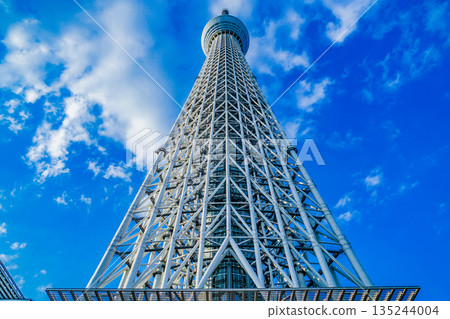 Tokyo Sky Tree and fine sky 135244004