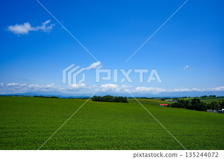 北海道美瑛的山景 北海道美瑛的山景 135244072