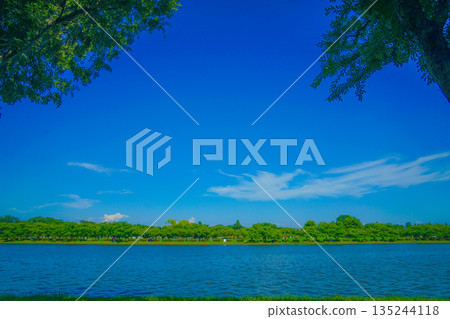 水本公園森林和藍天 水本公園森林和藍天 135244118