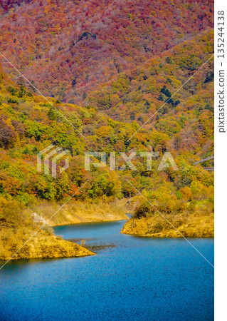 Autumn leaves in the back 40,000 135244138