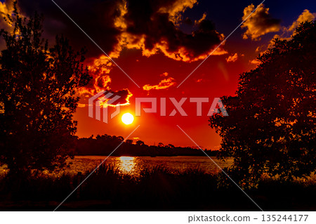 巴蘭加魯（澳大利亞悉尼） 135244177