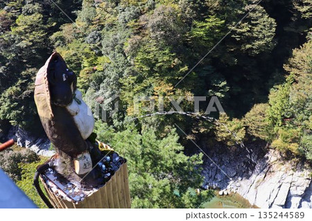A wooden bird watching over the forest, a silent observation deck A wooden bird watching over the forest, a silent observation deck 135244589
