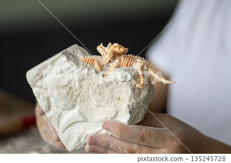 Tiny dinosaur skeleton toy perched on a stone block held by hands 135245728
