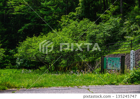 Along the Kisaragi Road, entrance to the Suga Old Trail 135245747